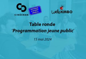 Table ronde Festival de Vannes 2024