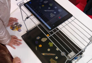 Paris - Mon jardin animé