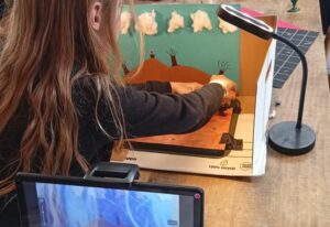 fabrique de l'imaginaire 2025